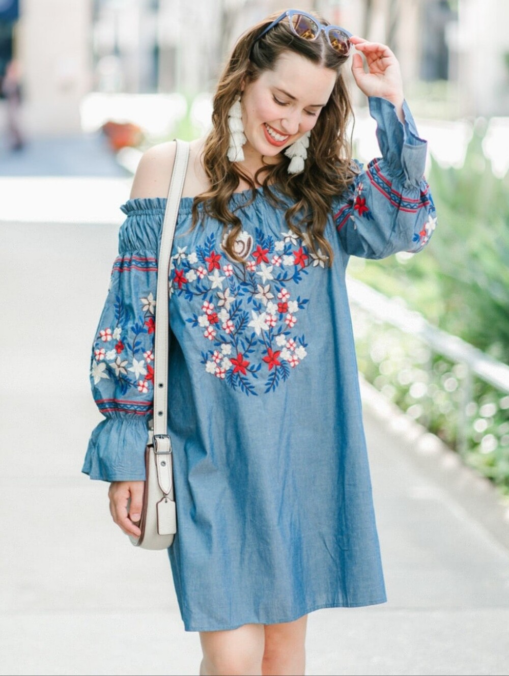 Parisian Light Blue Embroidered Ruffle-Neck Dress